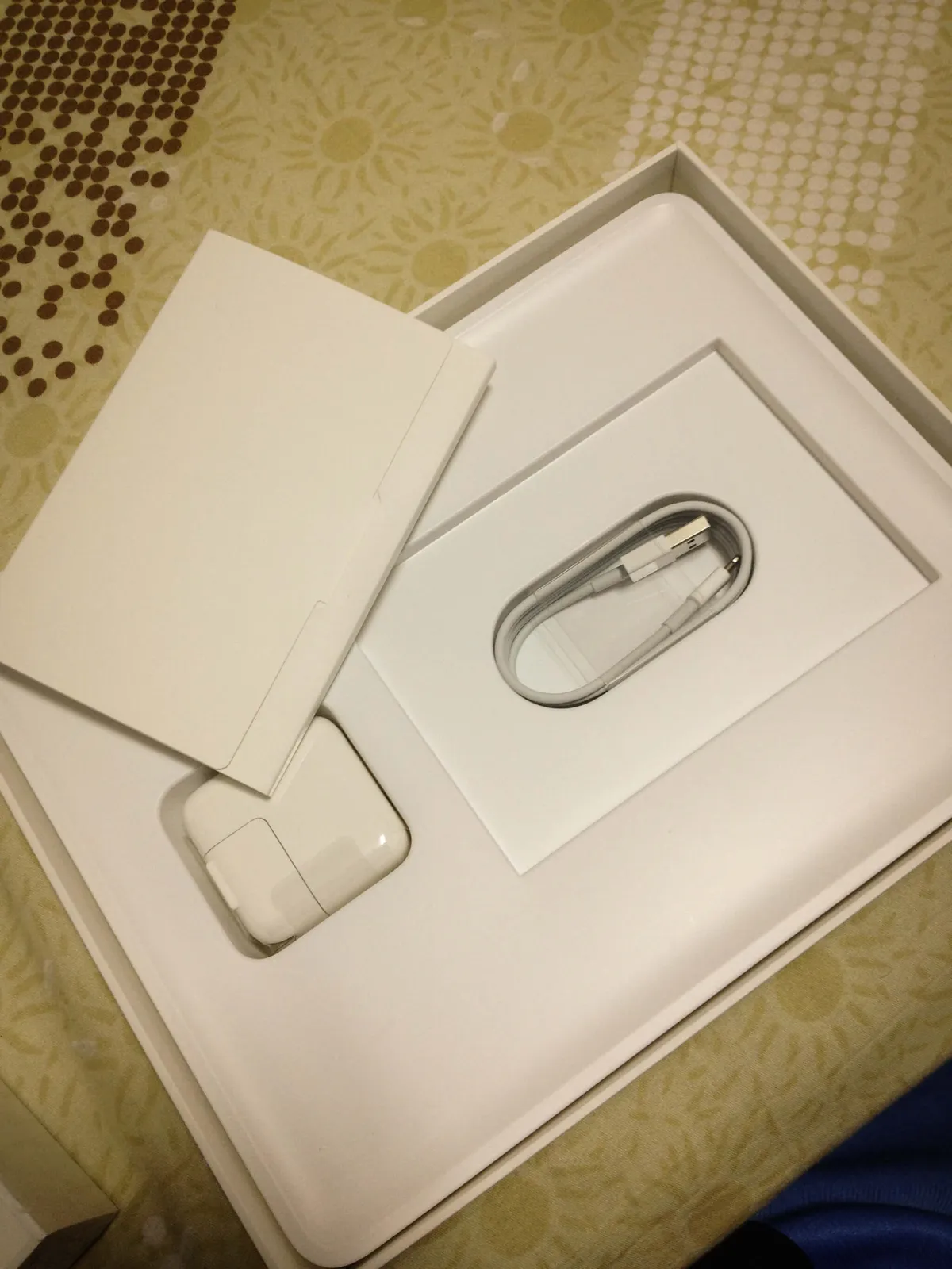 iPad 的配件,說明書、白豆腐、USB 傳輸線